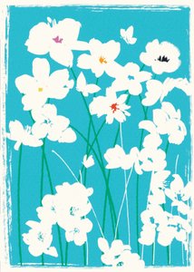 Fiori Turchesi da Jenny Frean