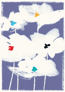 Fiori bianchi