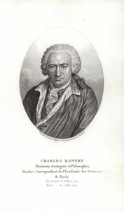 Charles Bonnet da Jens Juel