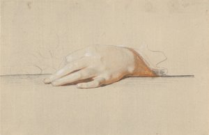 Una mano sinistra appoggiata su un tavolo, che tiene una rosa