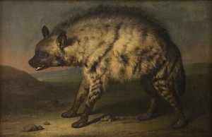 La iena nel menagerie presso il Castello di Frederiksberg da Jens Juel