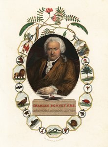 Ritratto di Charles Bonnet, naturalista ginevrino