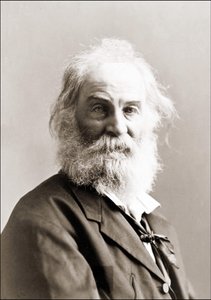 Ritratto di Walt Whitman di Gurney tra il 1880 e il 1890 da Jeremiah Gurney