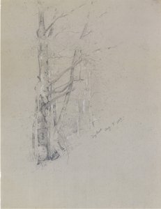 Ruscello secco da Jervis McEntee