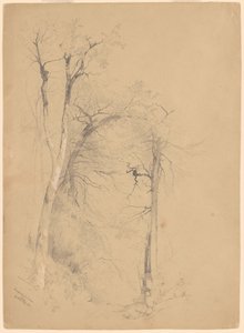 Kauterskill Clove da Jervis McEntee