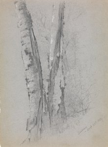 Studio di tronchi di betulla da Jervis McEntee
