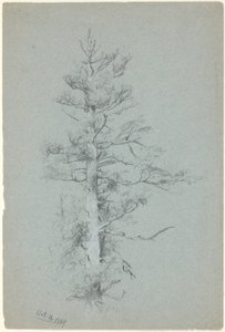 Studio di albero da Jervis McEntee