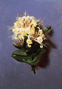 Luglio (da una serie di dodici) da Jessica Hayllar