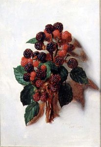 Ottobre (da una serie di dodici) da Jessica Hayllar