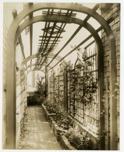 Giardino posteriore della Sig.ra Regina Jais, c.1936-37 da Jessie Tarbox Beals