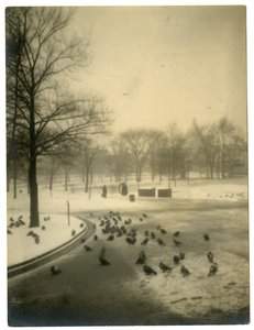 Comune con piccioni, Boston, USA da Jessie Tarbox Beals