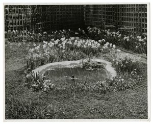 Giardino del Sig. e Sig.ra Wm H Wells 265 W 11th St, New York, USA da Jessie Tarbox Beals
