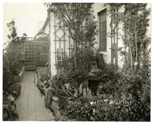 Giardino della Sig.ra Regina Jais, c.1936-37 da Jessie Tarbox Beals