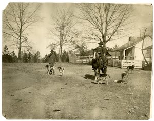 Uomo a cavallo da Jessie Tarbox Beals