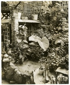 Piscina che mostra la terrazza Casa di George e Mary Stonehill, Greenwich Village, New York, USA, c.1936-37 da Jessie Tarbox Beals