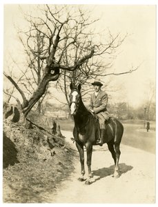 Roland Young, c.1905-27 da Jessie Tarbox Beals