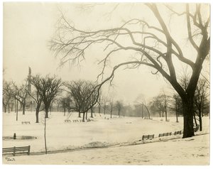 The Common, Boston, USA, c.1902-10