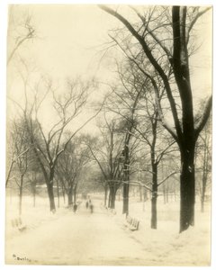 The Common, Boston, USA, c.1902-10 da Jessie Tarbox Beals