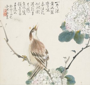 Un Hwamei cinese, 1857 da Jin Yuan