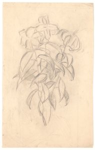 Studio di fiori da Joakim Frederik Skovgaard