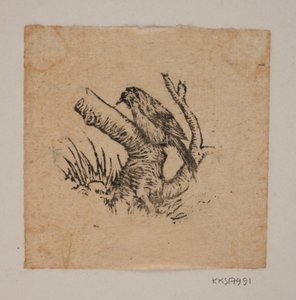 Un picchio da Joakim Frederik Skovgaard