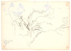 Studi di rami. Giardino di Classen