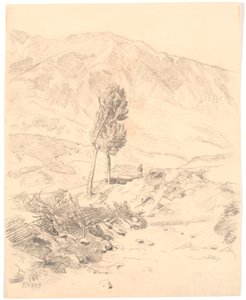Paesaggio montano italiano con due alberi da Joakim Frederik Skovgaard