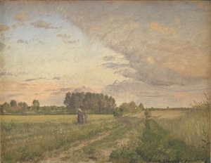 Paesaggio estivo