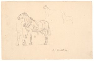 Tre studi di un cavallo da Joakim Frederik Skovgaard