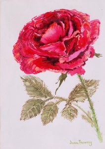 Una rosa rossa, 2000 da Joan Thewsey