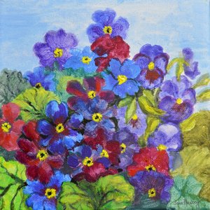 Primule Blu, 2017 da Joan Thewsey