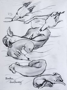 Bracken, il levriero, 2000 da Joan Thewsey