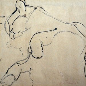 Gatto, cacciatore di topi, 1980
