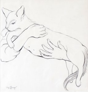 Gatto coccolone, 2000