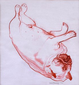 Hogarth Dormiente da Joan Thewsey