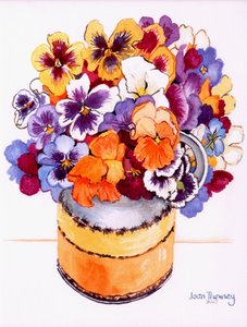 Viole del pensiero in una brocca invernale, 2000 da Joan Thewsey