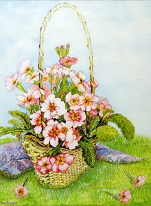 Primule rosa in un cesto da fiorista con una sciarpa paisley
