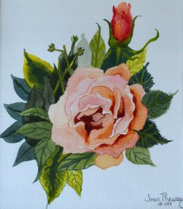 Rosa e bocciolo rosa, 1986 da Joan Thewsey