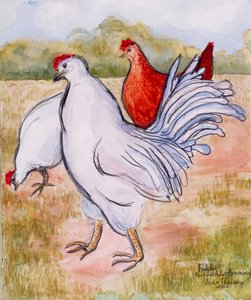 Ralphy, il gallo, 2005 da Joan Thewsey