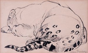 Schizzo, leopardo, zoo di Londra 2005