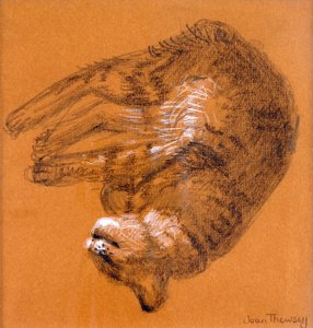Gatto tigrato che dorme, 2005 da Joan Thewsey