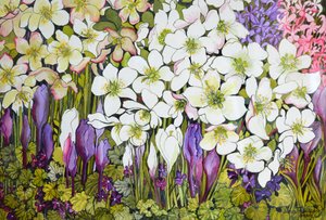 Bordo primaverile: ellebori, crochi e violette da Joan Thewsey