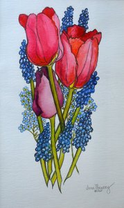 Tulipani, muscari e non ti scordar di me, 2002 da Joan Thewsey