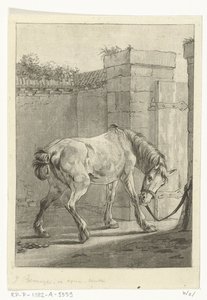 Un cavallo legato a un palo da Joannes Bemme