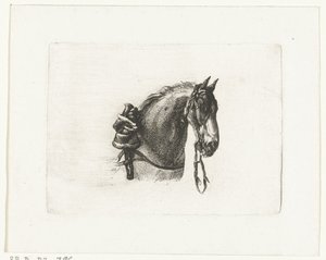 Testa di cavallo verso destra da Joannes Bemme