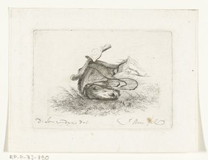 Testa di cavallo di cavallo sdraiato da Joannes Bemme