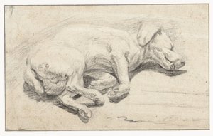 Cane sdraiato, dormiente da Joannes Fijt (attributed to)