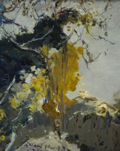 Albero