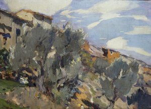 Villaggio, aranceto