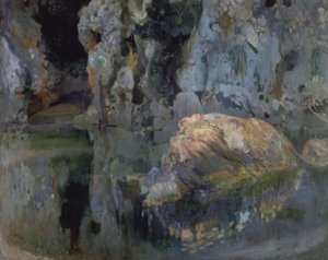 El roc de l’estany da Joaquim Mir i Trinxet